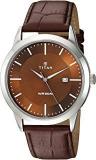 Analog Brown Dial Men's Watch NK1584SL04