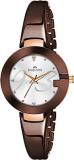 Analog Women's Watch Silver Dial Brown Colored Strap