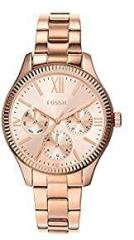 Fossil Rye Analog Rose Gold Dial Women's Watch BQ3691