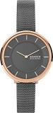 Skagen Women's Gitte Two Hand Stainless Steel Watch