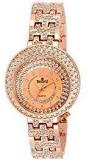 Swisstyle Expedition Copper Dial Analogue Watch For Women Ss Lr249 Cpr Ch