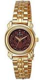 Titan Analog Brown Dial Women's Watch 2534YM03