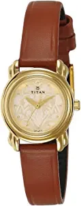 Analog Gold Dial Women's Watch 2534YL04