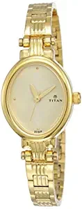 Analog White Dial Women's Watch NL2535YM01