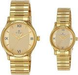 Titan Bandhan Analog Golden Dial Unisex's Watch NN15802490YM02/NR15802490YM02P