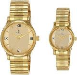 Titan Quartz Analog Champagne Dial Metal Strap Watch For Couple NR15802490YM02P