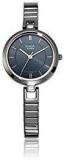 Titan Raga Viva Analog Grey Dial Women's Watch 2603QM01