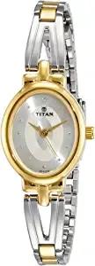 Titan Karishma Revive Analog Silver Dial Women's Watch 2594BM01