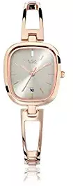 Raga Viva Analog Grey Dial Women's Watch NL2604WM01